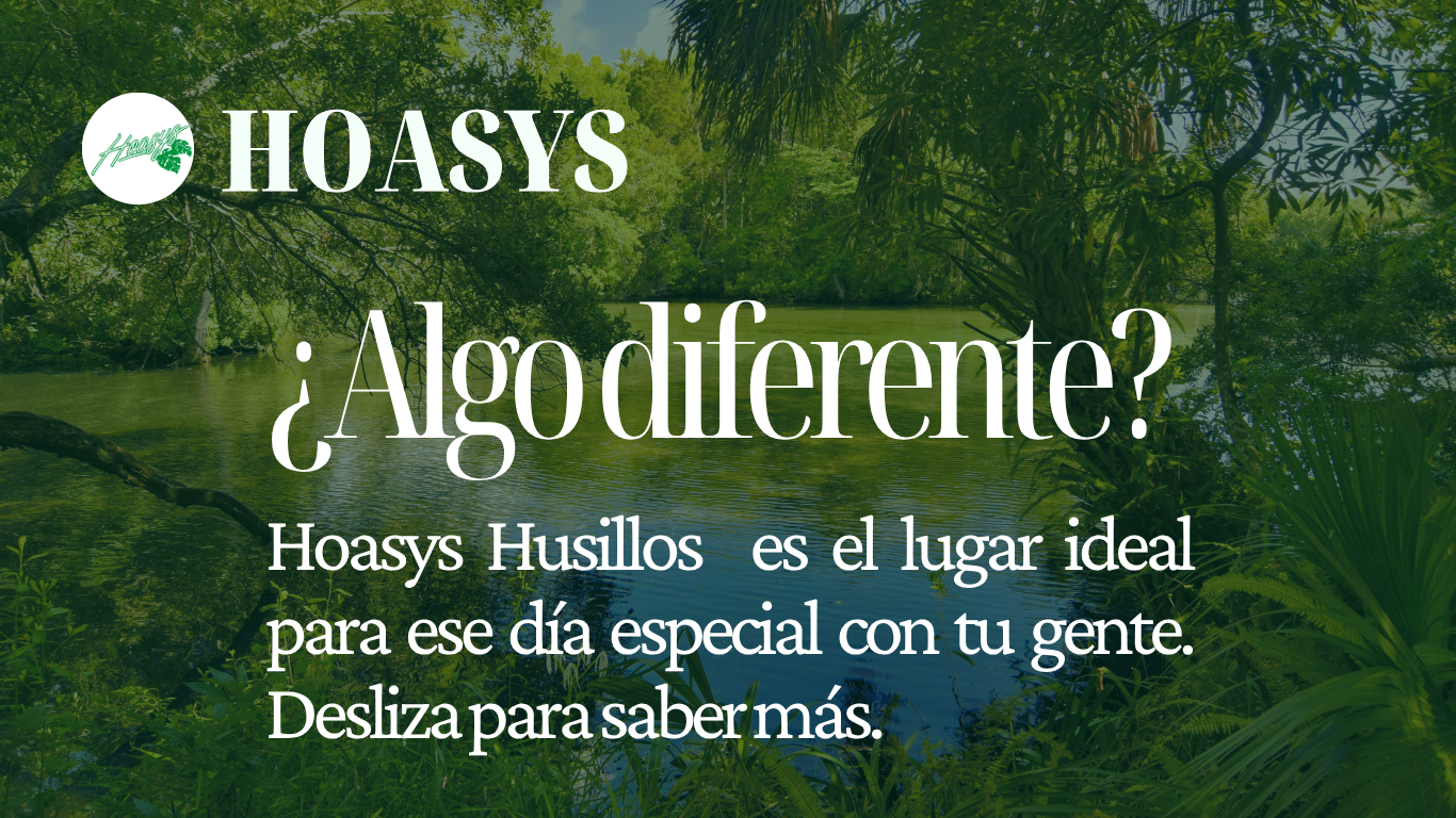 Hoasys Husillos