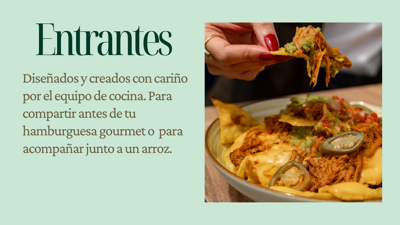 Entrantes Hoasys